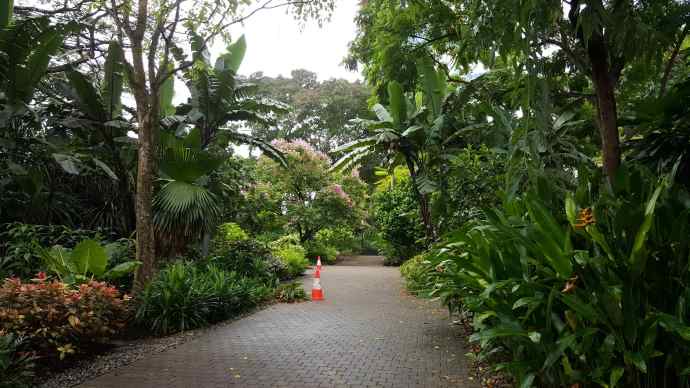 徒步迎新-01.jpeg 徒步迎新 01