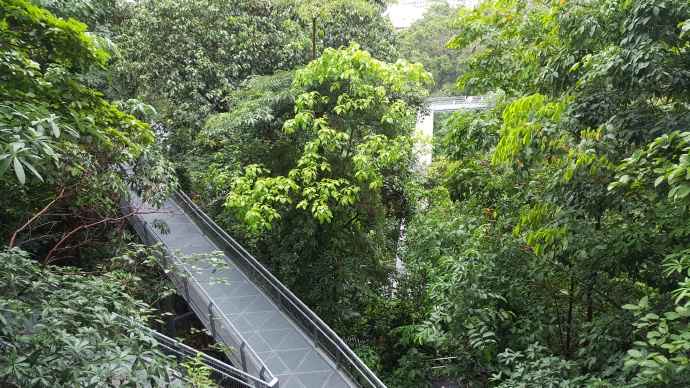 徒步迎新-10.jpeg 徒步迎新 10