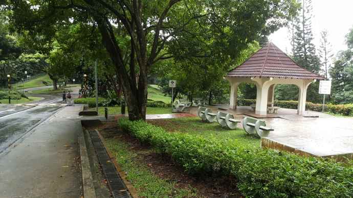 徒步迎新-13.jpeg 徒步迎新 13