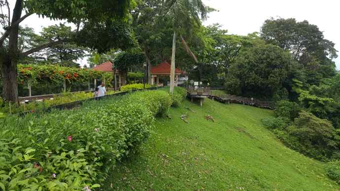 徒步迎新-17.jpeg 徒步迎新 17