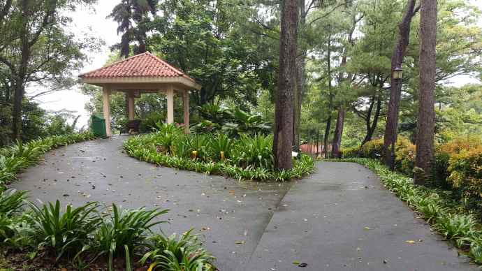 徒步迎新-18.jpeg 徒步迎新 18