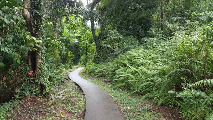 徒步迎新-20.jpeg 徒步迎新 20