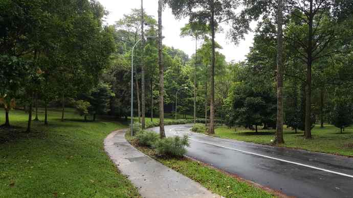 徒步迎新-21.jpeg 徒步迎新 21