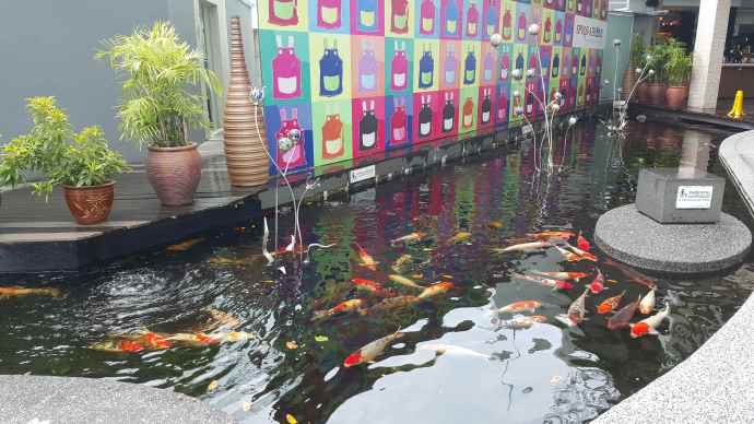 徒步迎新-24.jpeg 徒步迎新 24