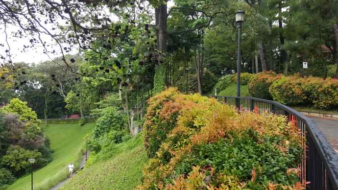 徒步迎新-27.jpeg 徒步迎新 27