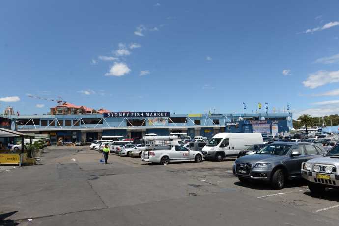 悉尼鱼市-02.jpeg 悉尼鱼市 02