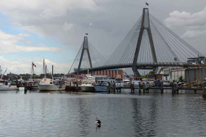 悉尼鱼市-03.jpeg 悉尼鱼市 03