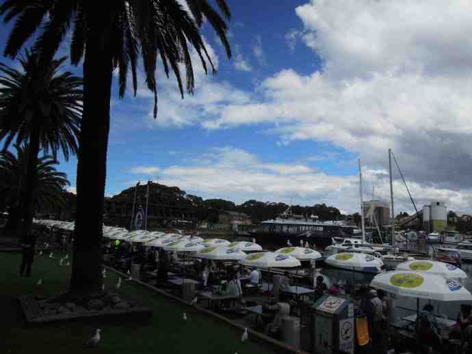 悉尼鱼市-06.jpeg 悉尼鱼市 06