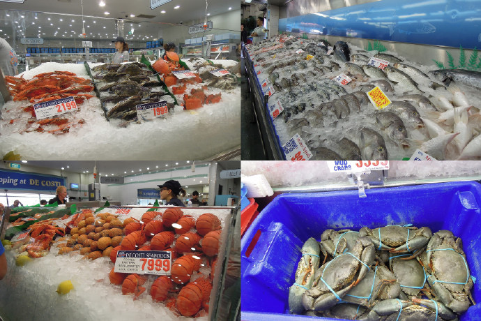 悉尼鱼市-09.jpeg 悉尼鱼市 09