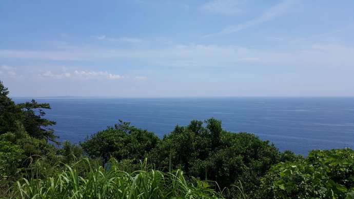 江之岛-14.jpeg 江之岛 14