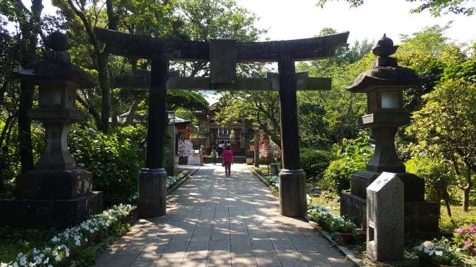 江之岛-21.jpeg 江之岛 21