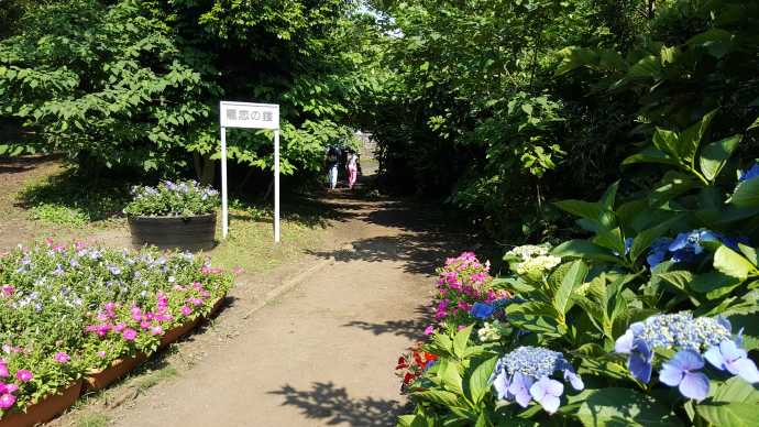 江之岛-25.jpeg 江之岛 25