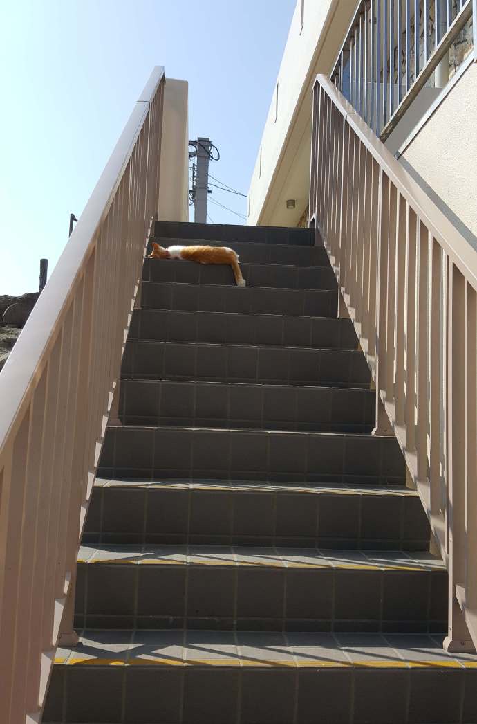 江之岛-32.jpeg 江之岛 32