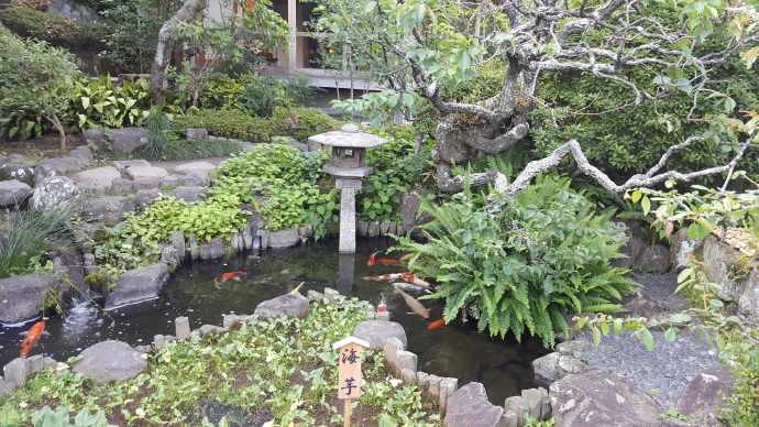 江之岛-34.jpeg 江之岛 34