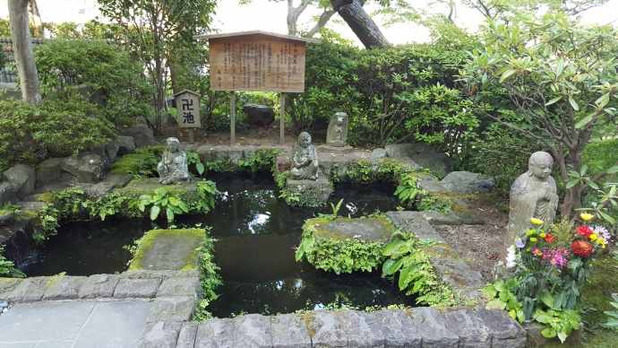 江之岛-35.jpeg 江之岛 35