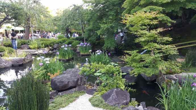 江之岛-36.jpeg 江之岛 36