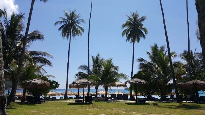 热浪岛3-02.jpeg 热浪岛3 02