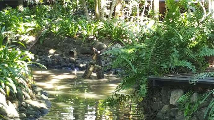 热浪岛3-04.jpeg 热浪岛3 04