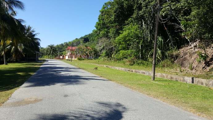 热浪岛3-08.jpeg 热浪岛3 08