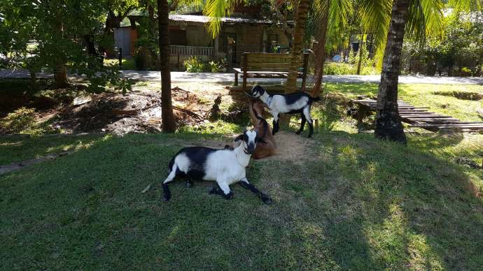 热浪岛3-09.jpeg 热浪岛3 09