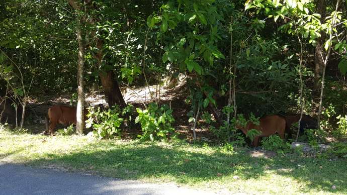 热浪岛3-10.jpeg 热浪岛3 10