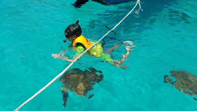 热浪岛4-16.jpeg 热浪岛4 16