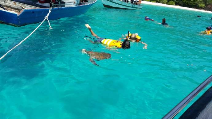 热浪岛4-17.jpeg 热浪岛4 17