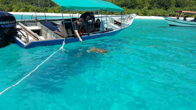 热浪岛4-18.jpeg 热浪岛4 18