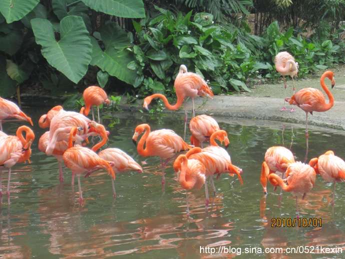 飞禽公园-02.jpeg 飞禽公园 02