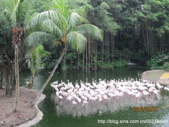飞禽公园-03.jpeg 飞禽公园 03
