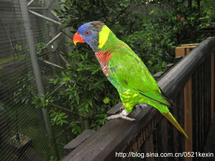 飞禽公园-05.jpeg 飞禽公园 05