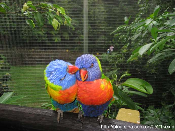 飞禽公园-06.jpeg 飞禽公园 06