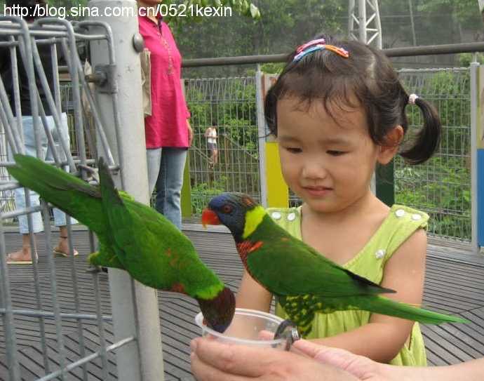 飞禽公园-07.jpeg 飞禽公园 07