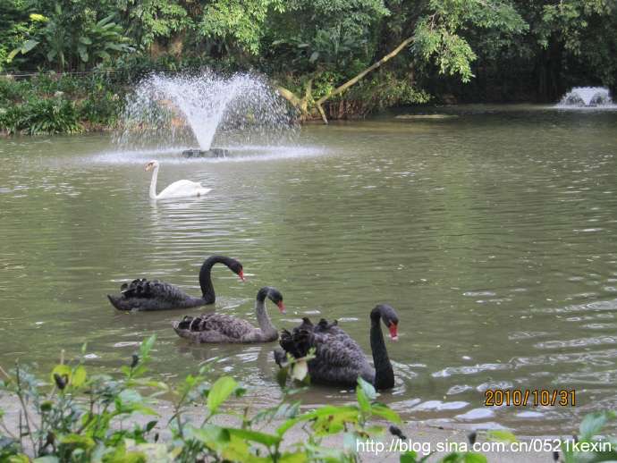 飞禽公园-10.jpeg 飞禽公园 10