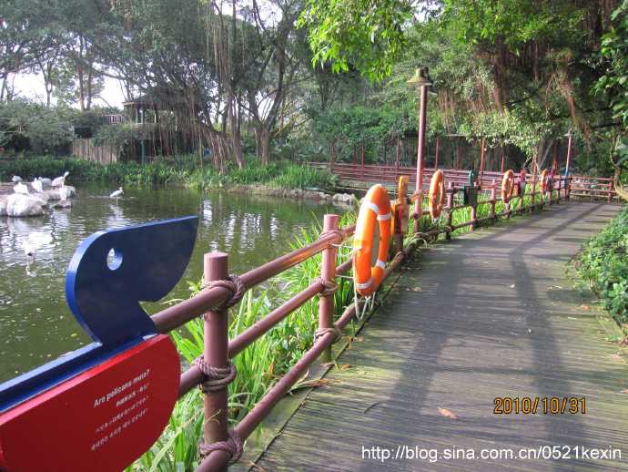 飞禽公园-13.jpeg 飞禽公园 13