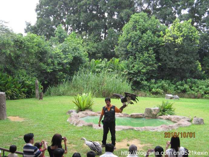 飞禽公园-14.jpeg 飞禽公园 14