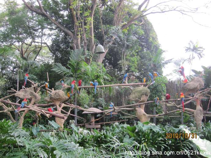 飞禽公园-15.jpeg 飞禽公园 15