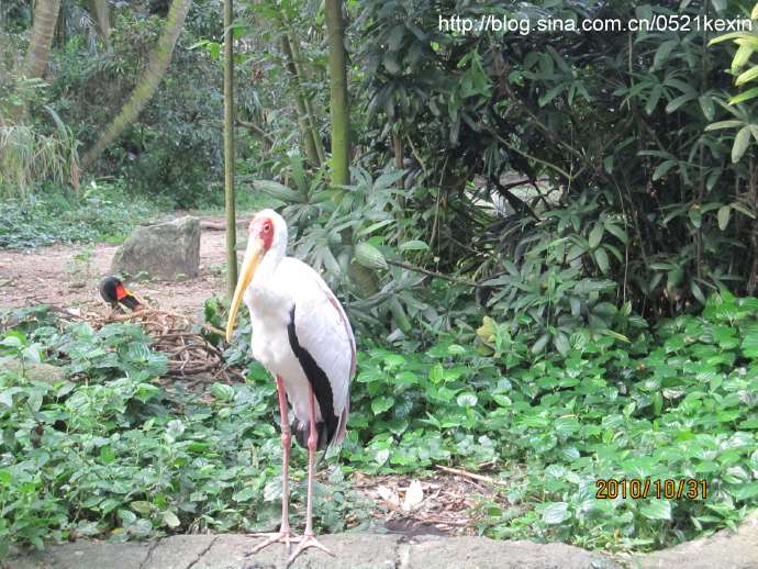 飞禽公园-18.jpeg 飞禽公园 18