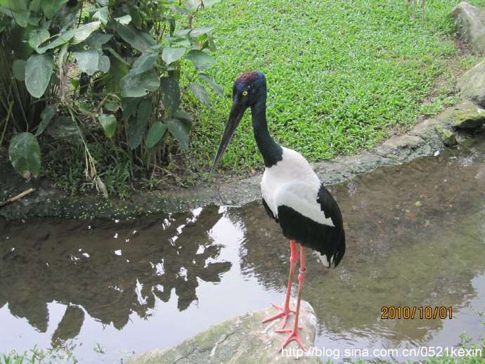 飞禽公园-19.jpeg 飞禽公园 19