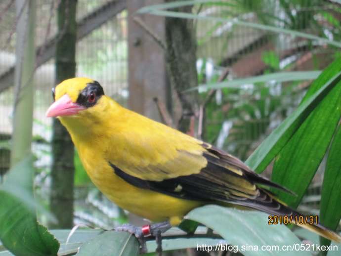 飞禽公园-20.jpeg 飞禽公园 20