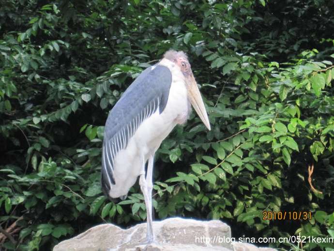 飞禽公园-21.jpeg 飞禽公园 21