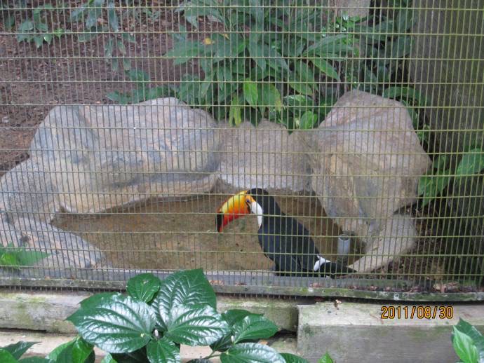 鸟公园-01.jpeg 鸟公园 01