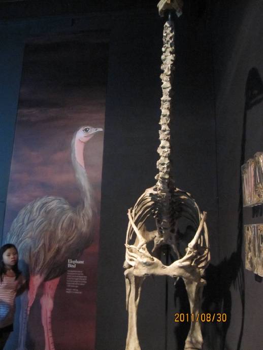 鸟公园-05.jpeg 鸟公园 05