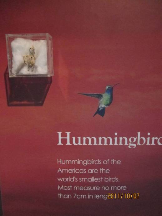 鸟公园-06.jpeg 鸟公园 06