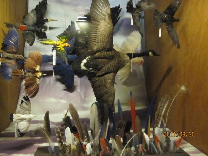 鸟公园-07.jpeg 鸟公园 07