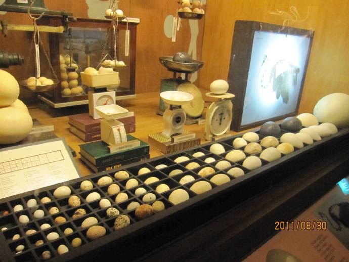 鸟公园-08.jpeg 鸟公园 08