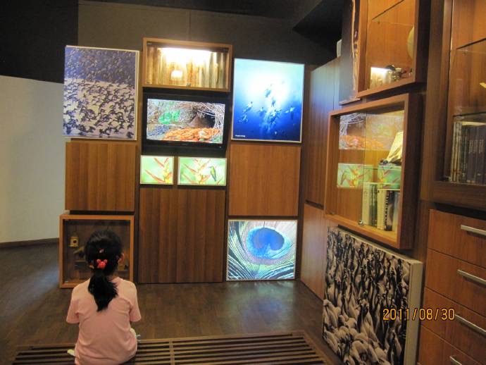 鸟公园-09.jpeg 鸟公园 09