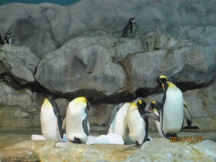 鸟公园-12.jpeg 鸟公园 12