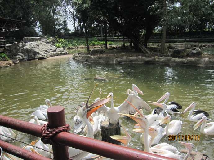 鸟公园-16.jpeg 鸟公园 16