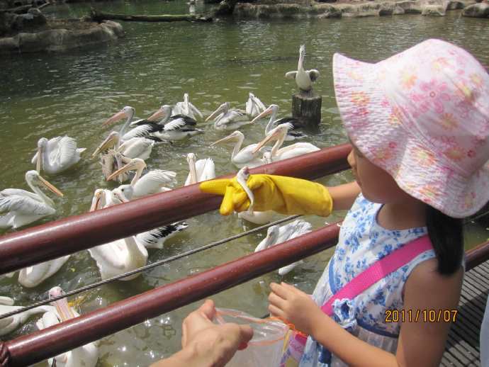 鸟公园-17.jpeg 鸟公园 17